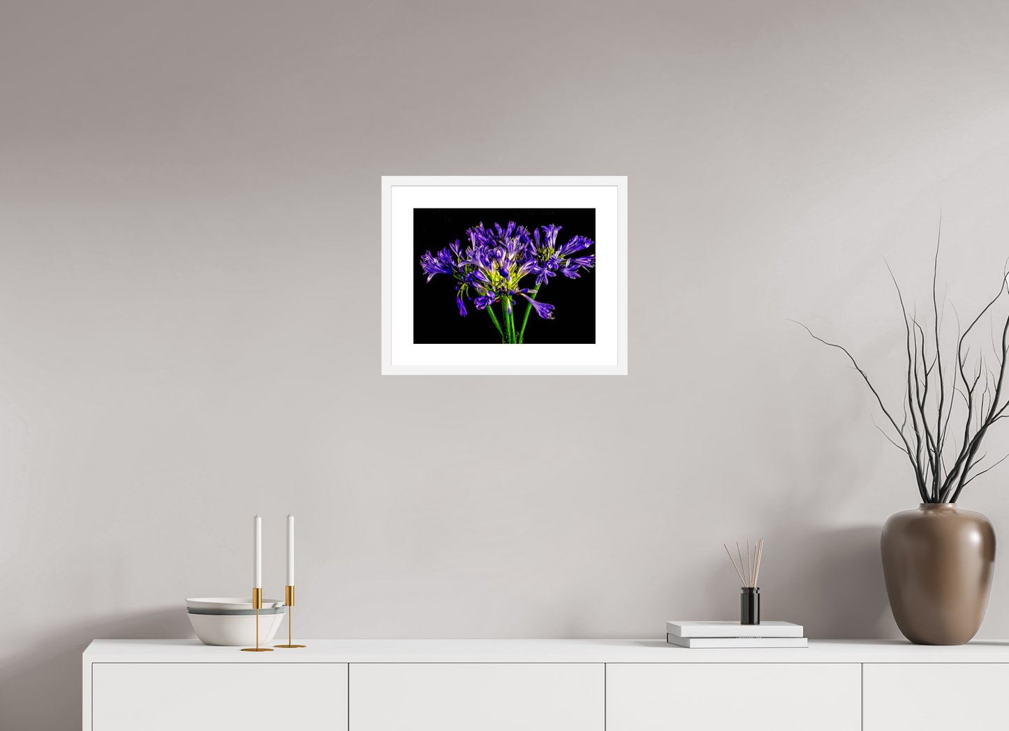 Agapanthus
