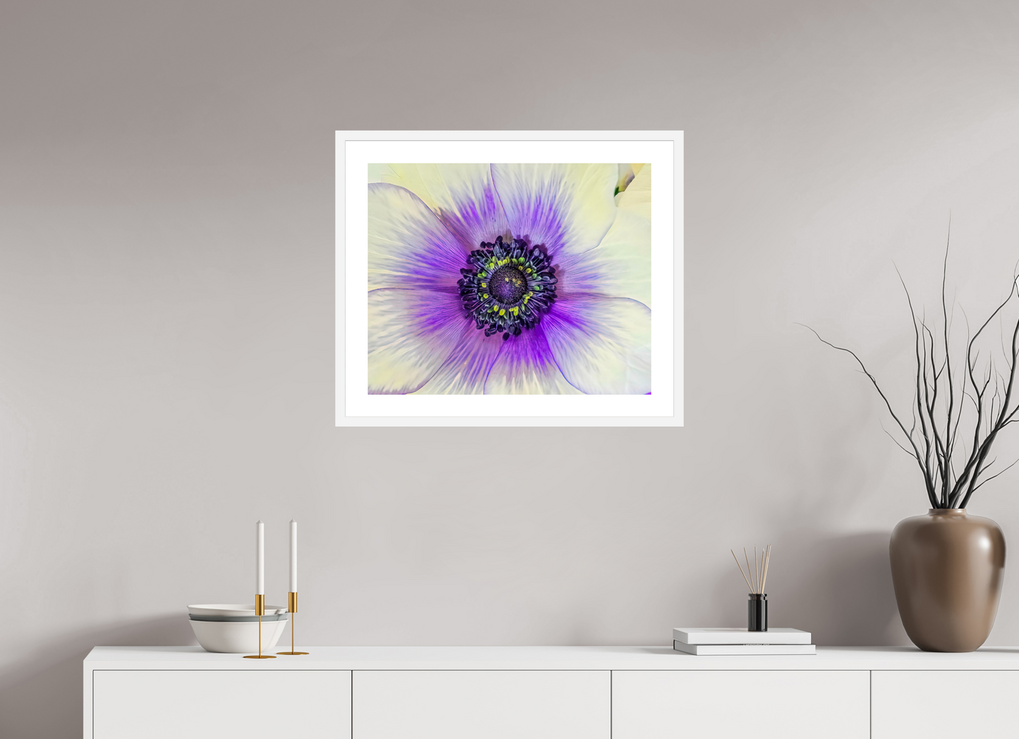 Anemone Splendor