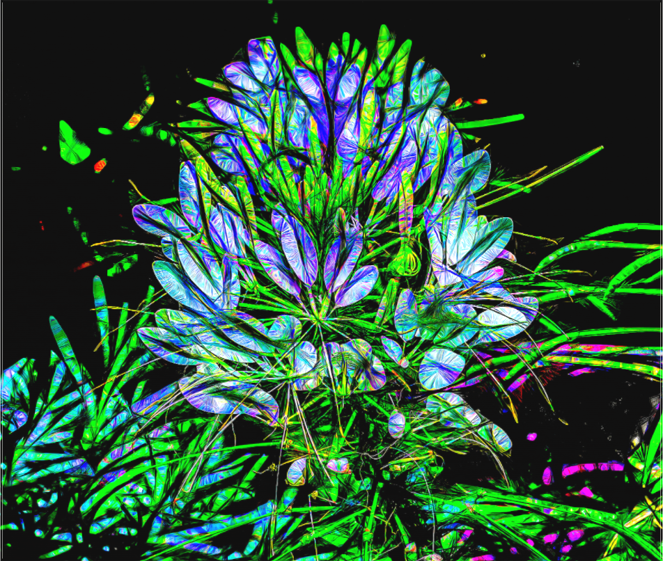 Brilliant Flower