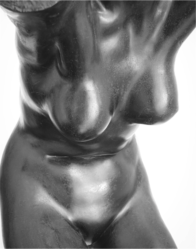 Frontal Woman's Torso