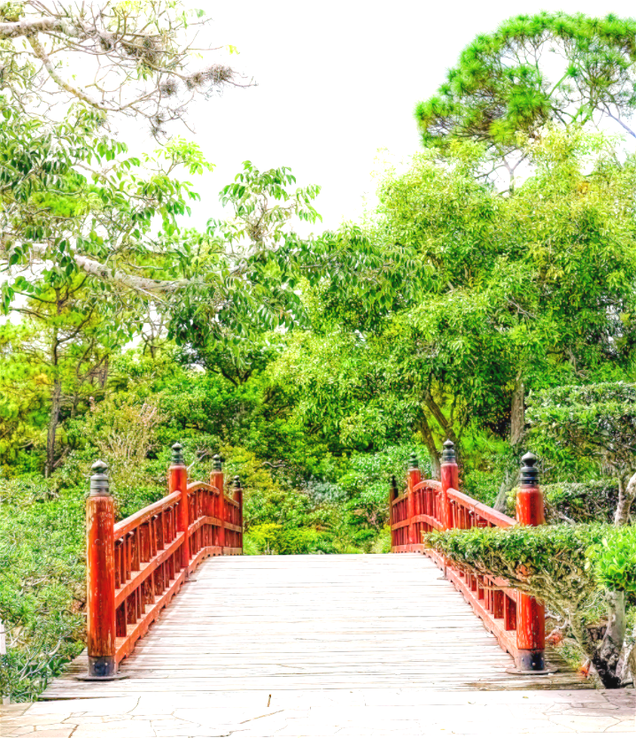 Japanese Garden Bridge