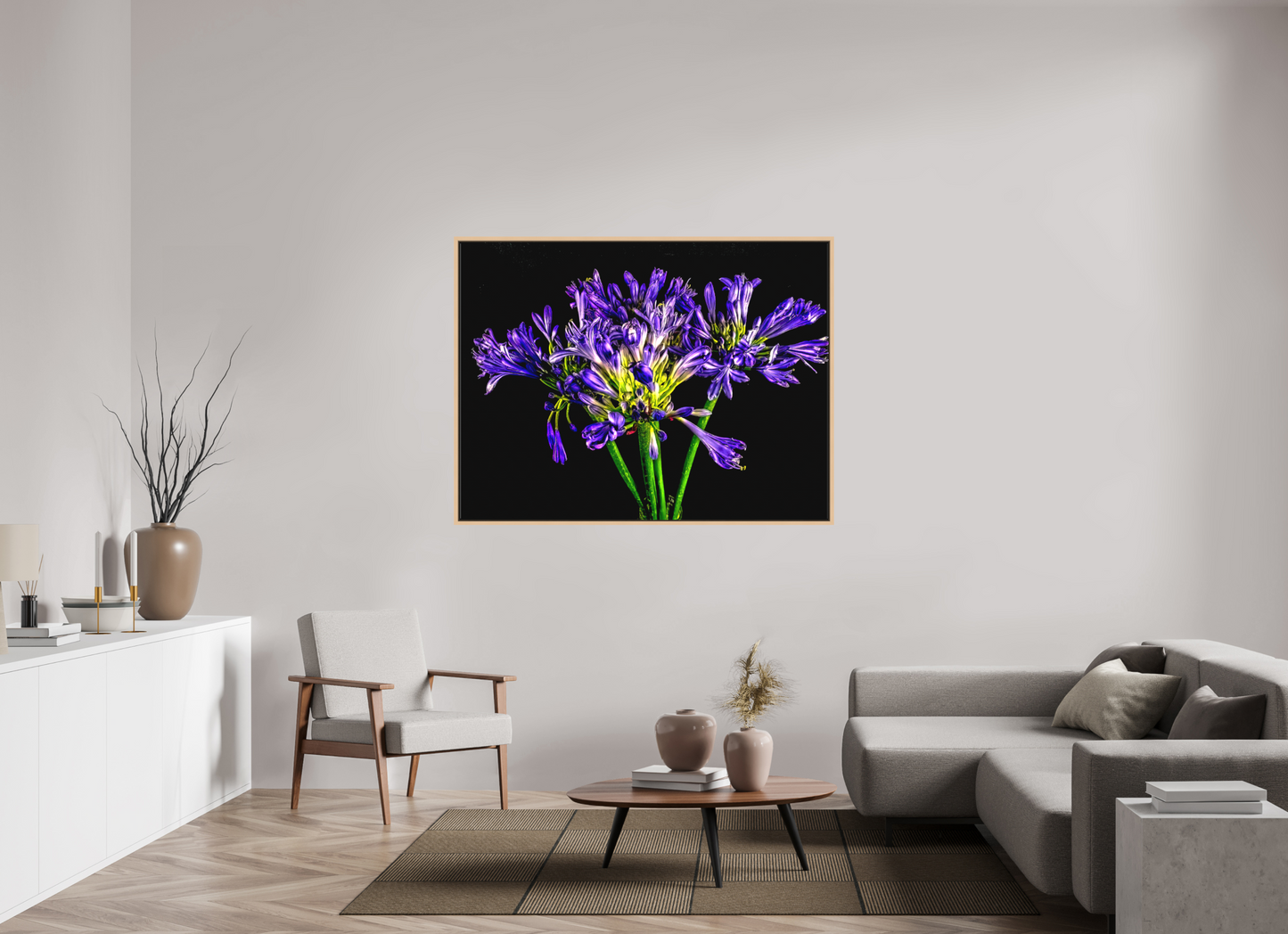Agapanthus