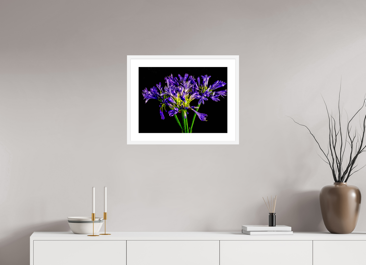 Agapanthus