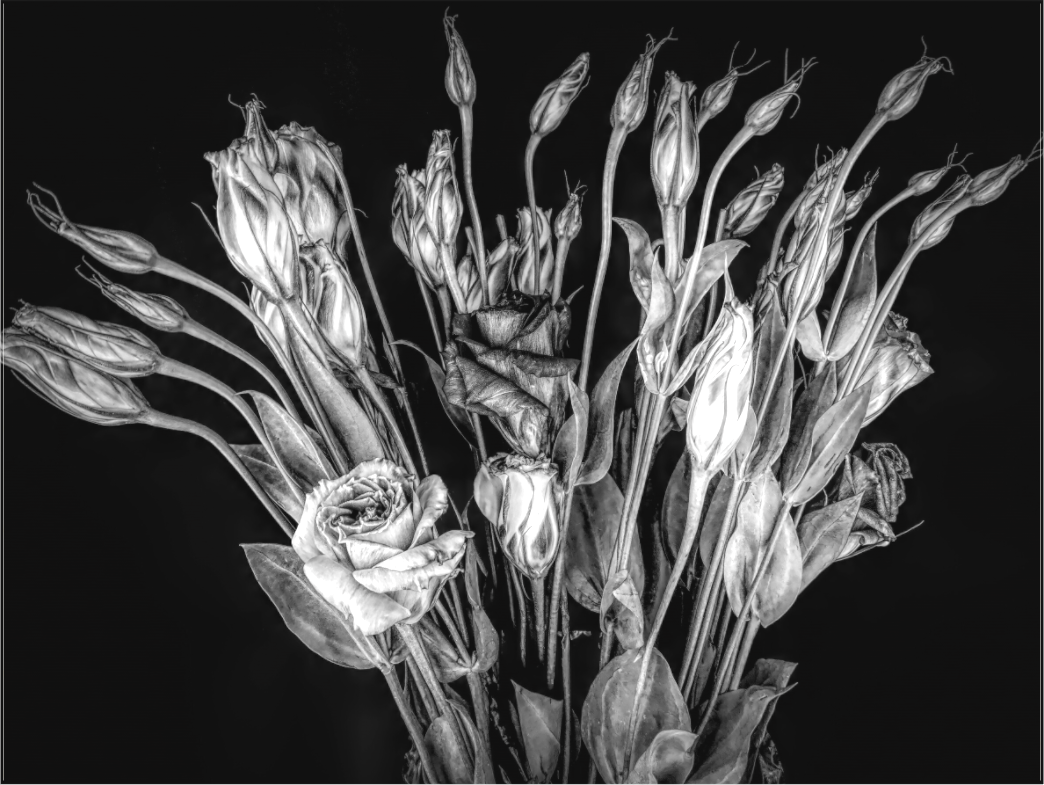 In Bloom
