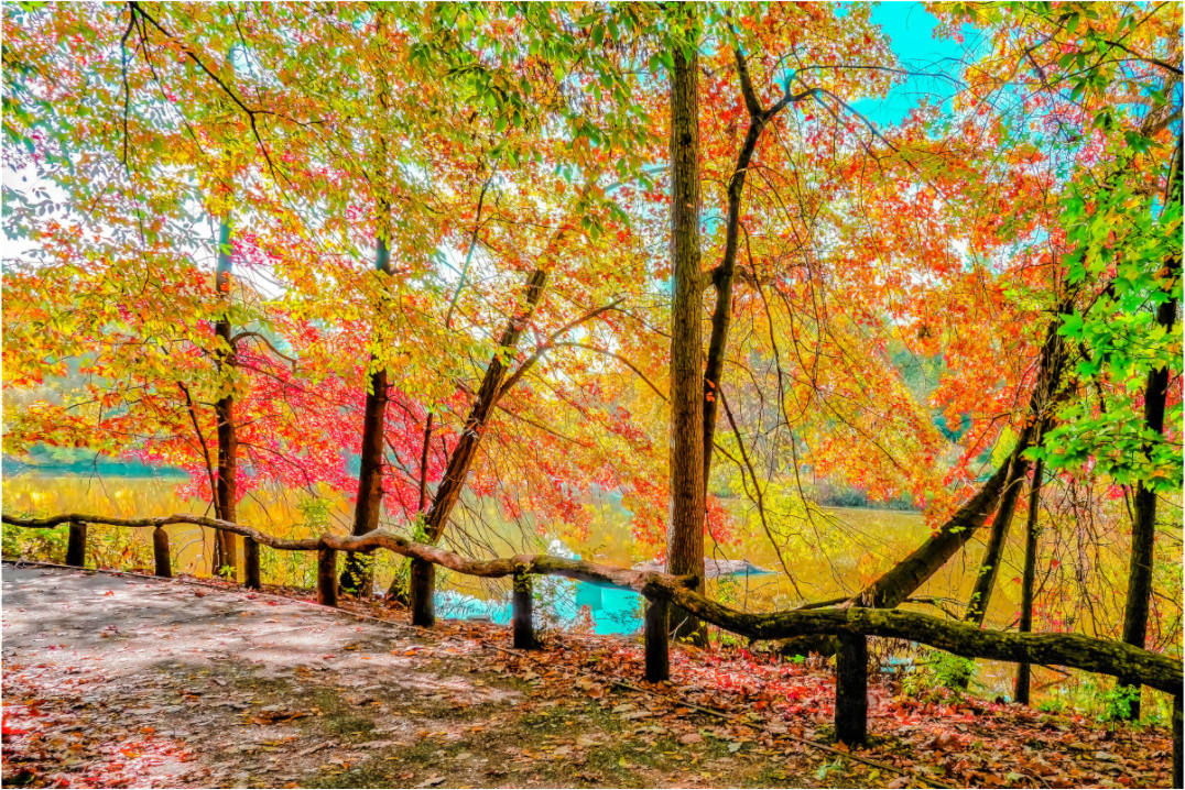 Welcoming Park