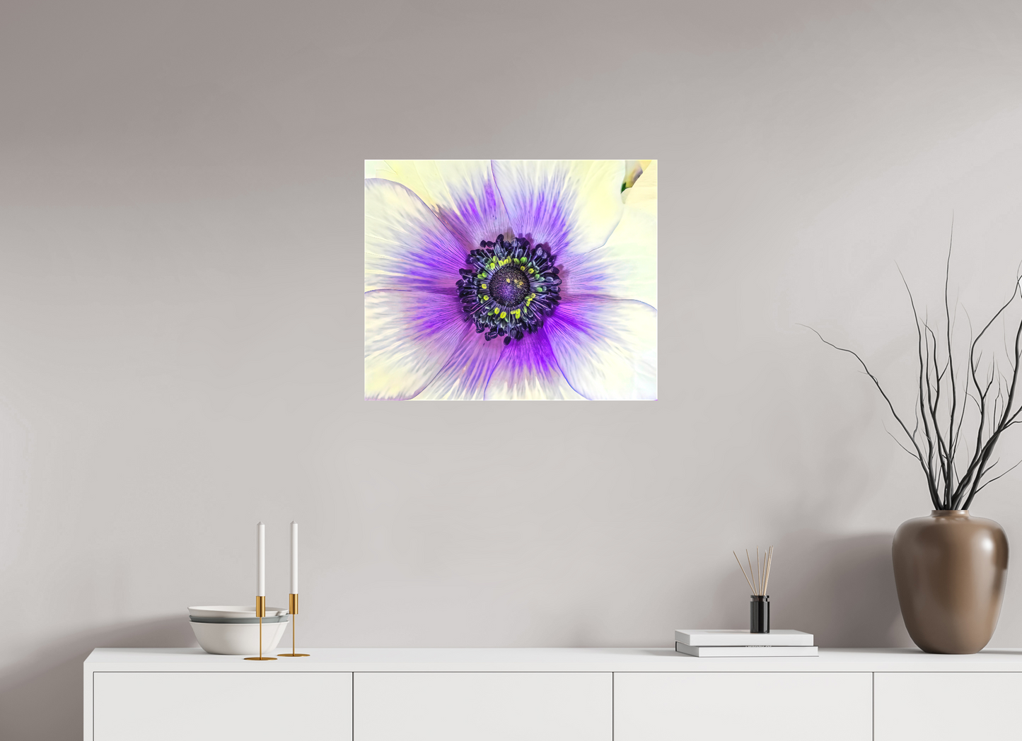 Anemone Splendor