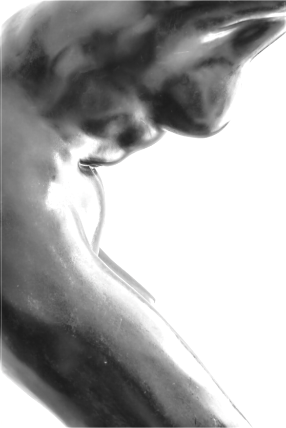 Side Woman's Torso