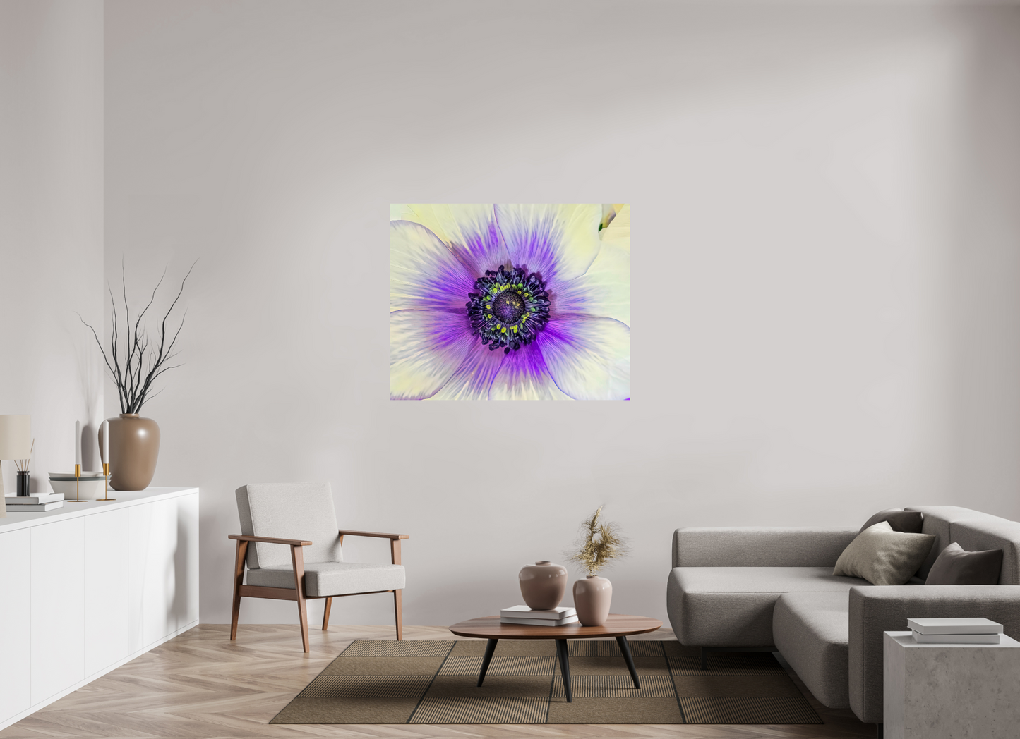 Anemone Splendor