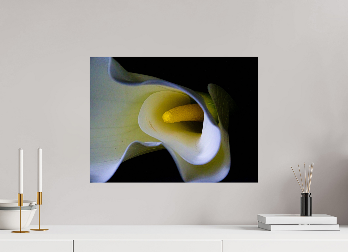 Cala in Bloom