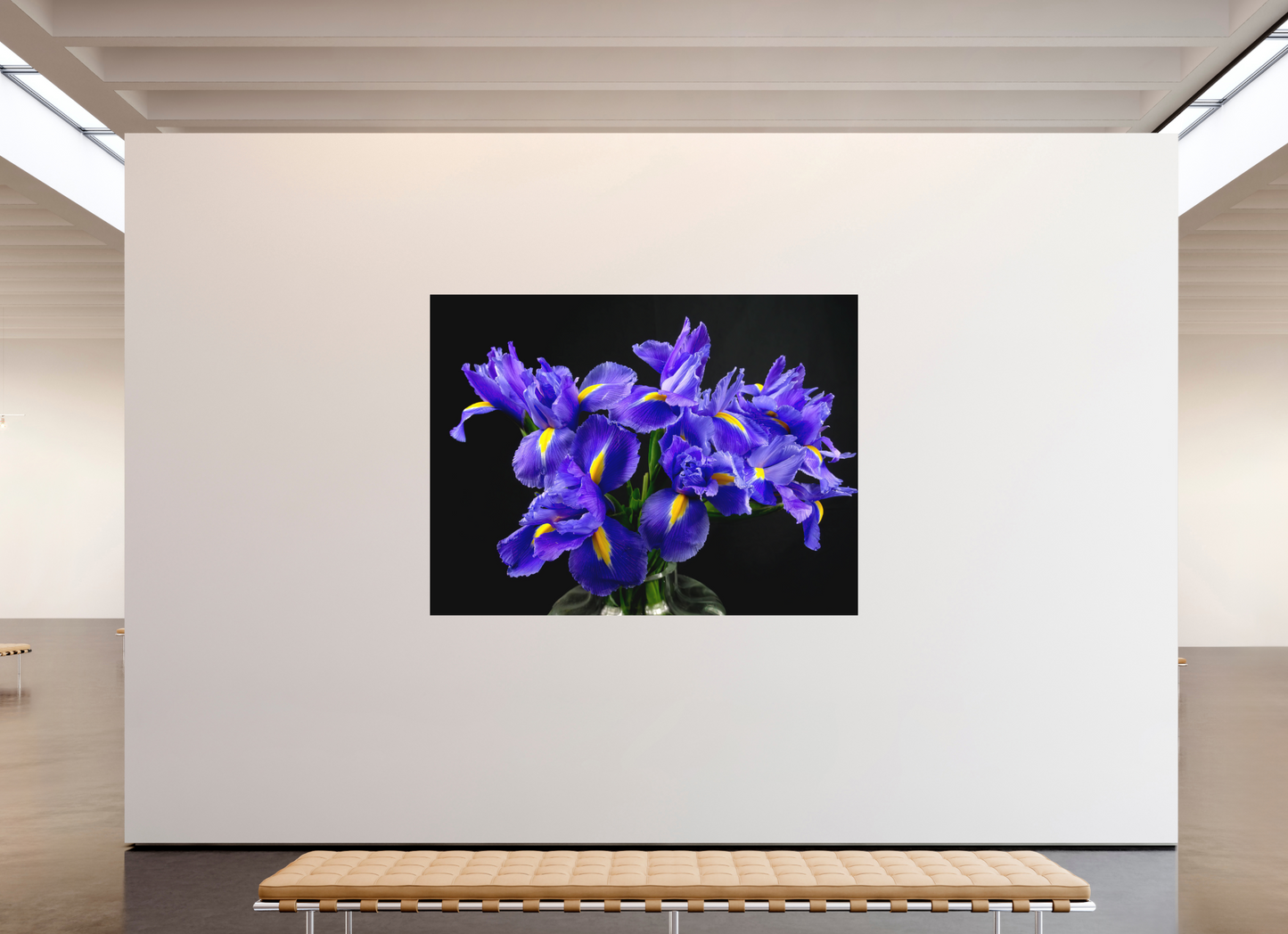 Iris in Love