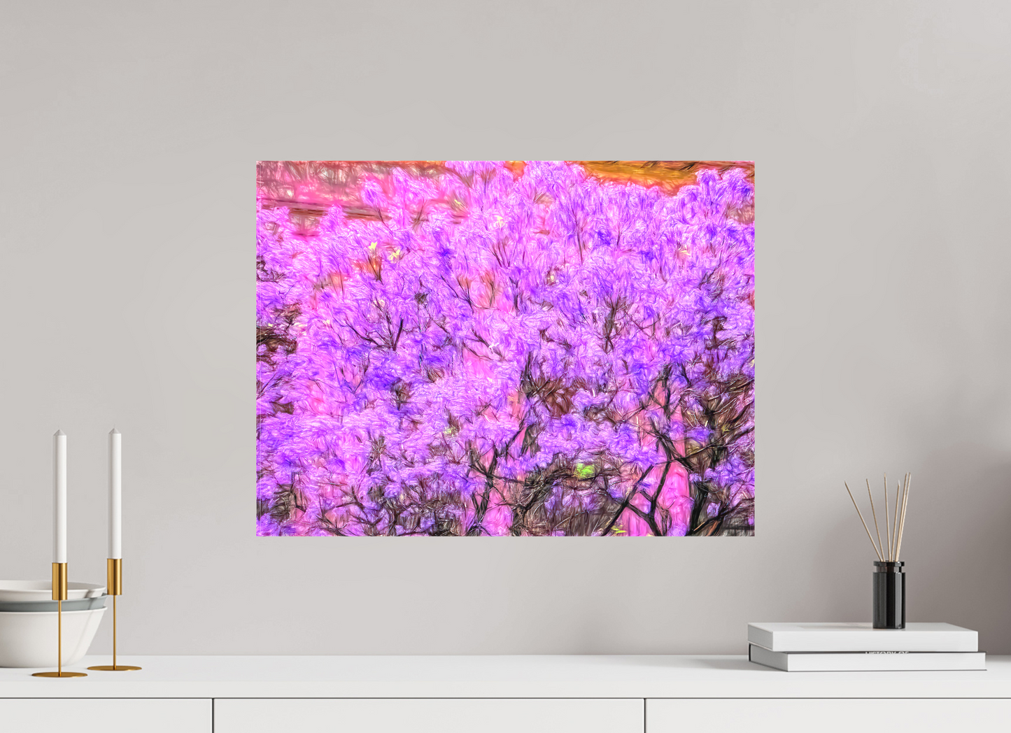 Jacaranda Obsession