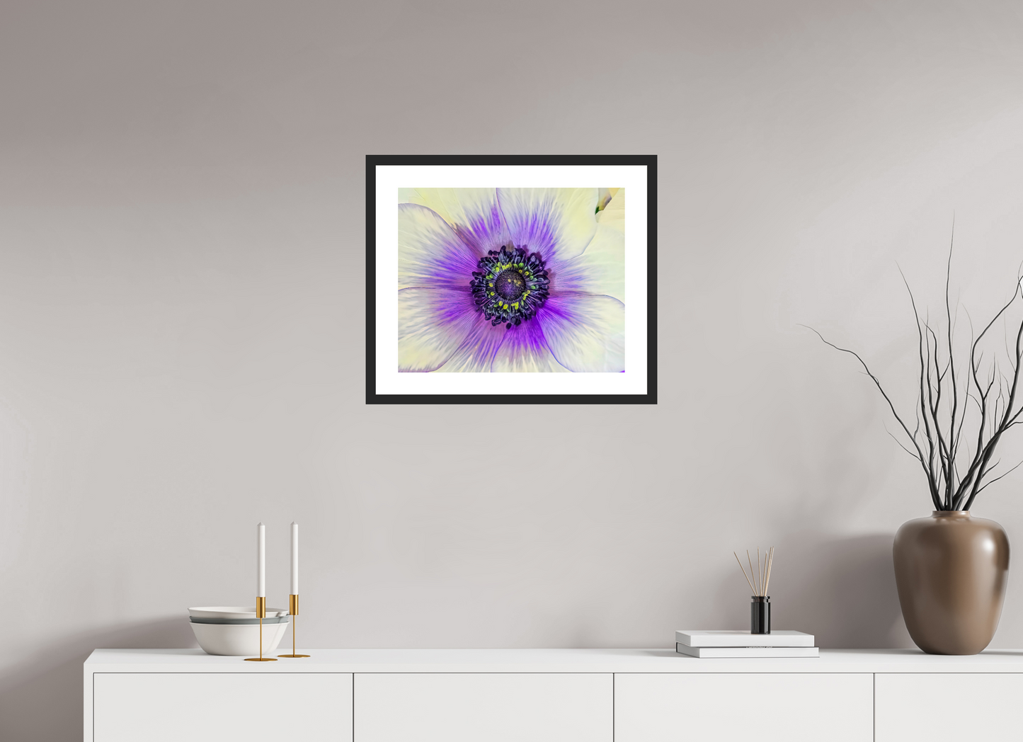 Anemone Splendor