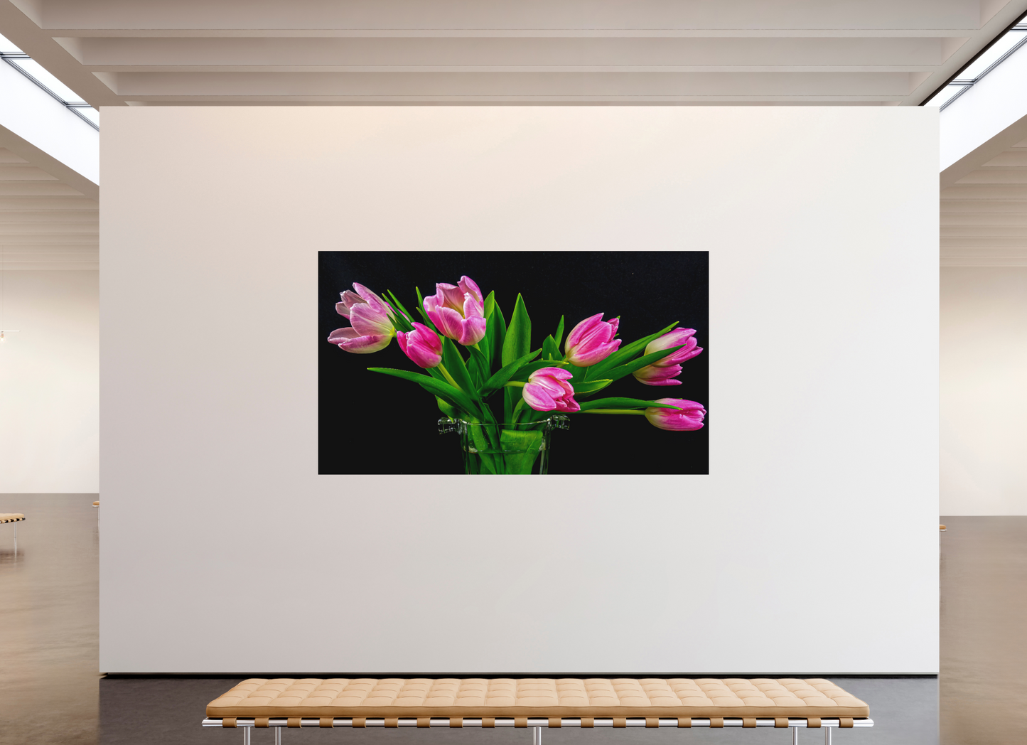 Tulip Dream