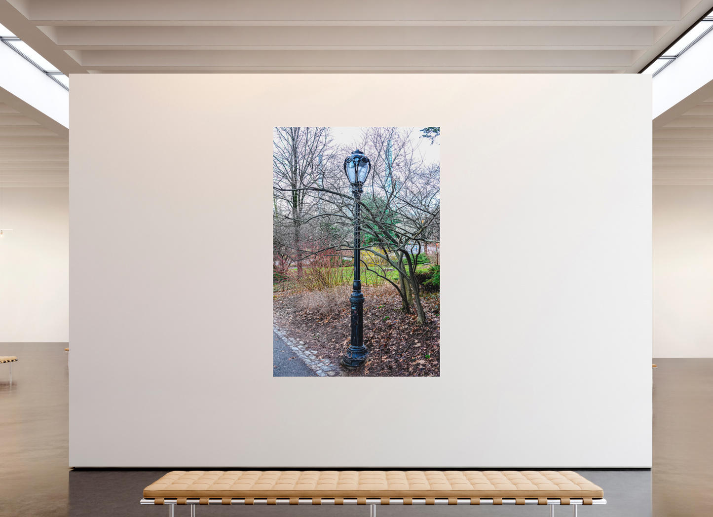 Lamplight