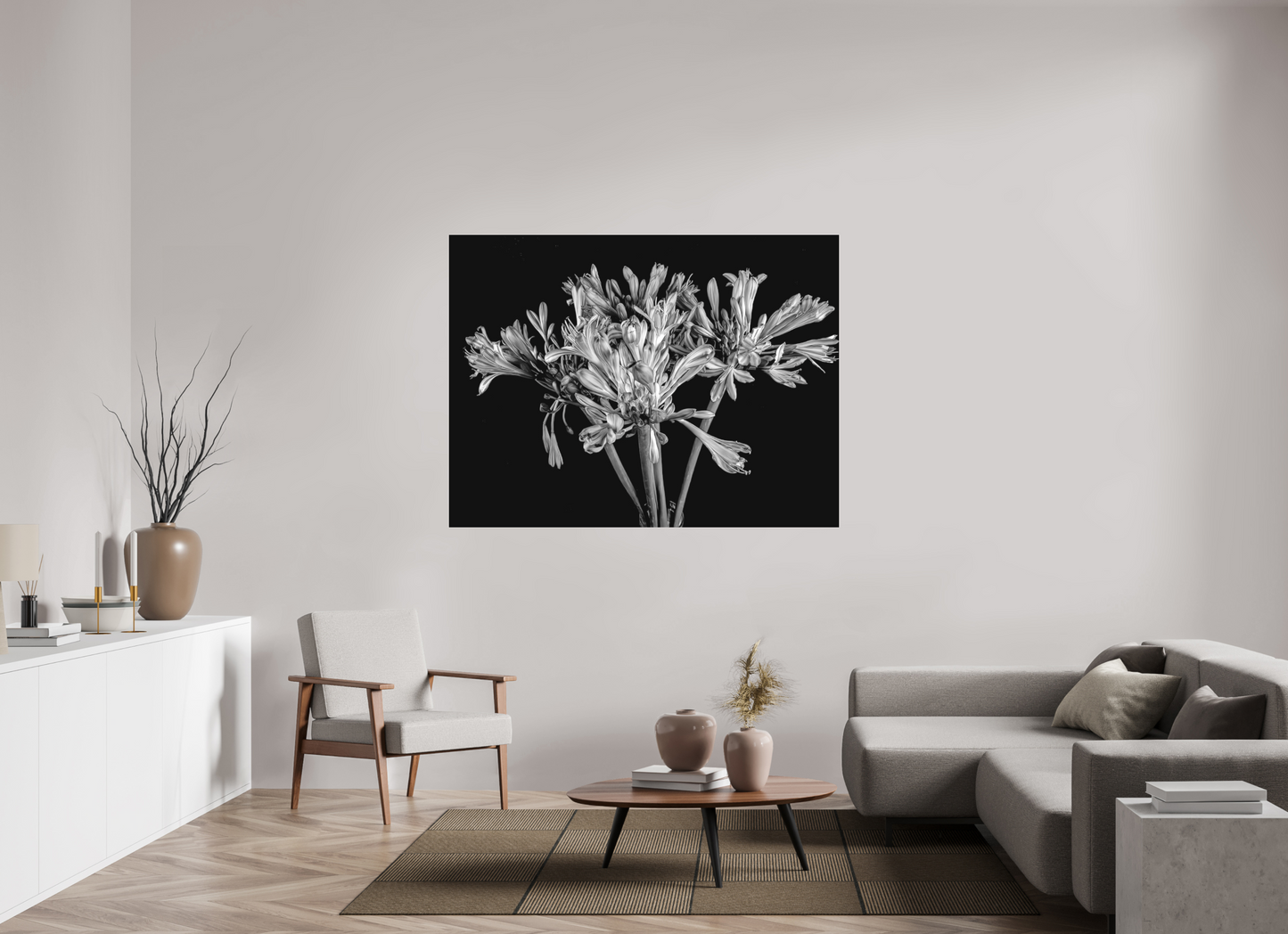 Agapanthus in Black and White