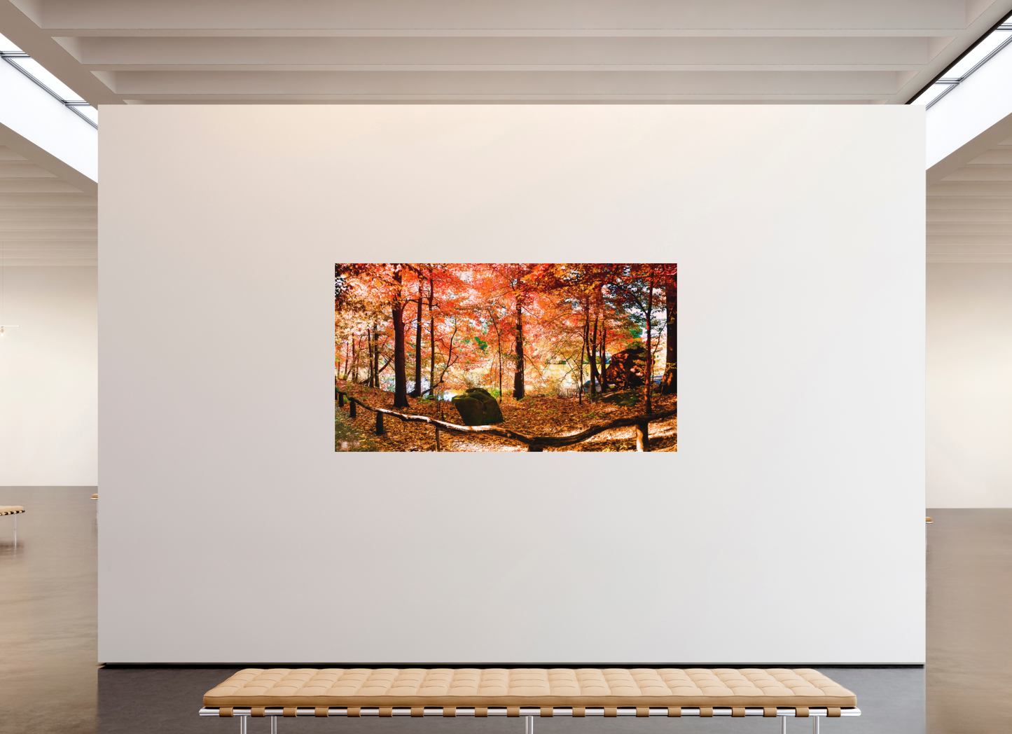 Panoramic Autumn Colors