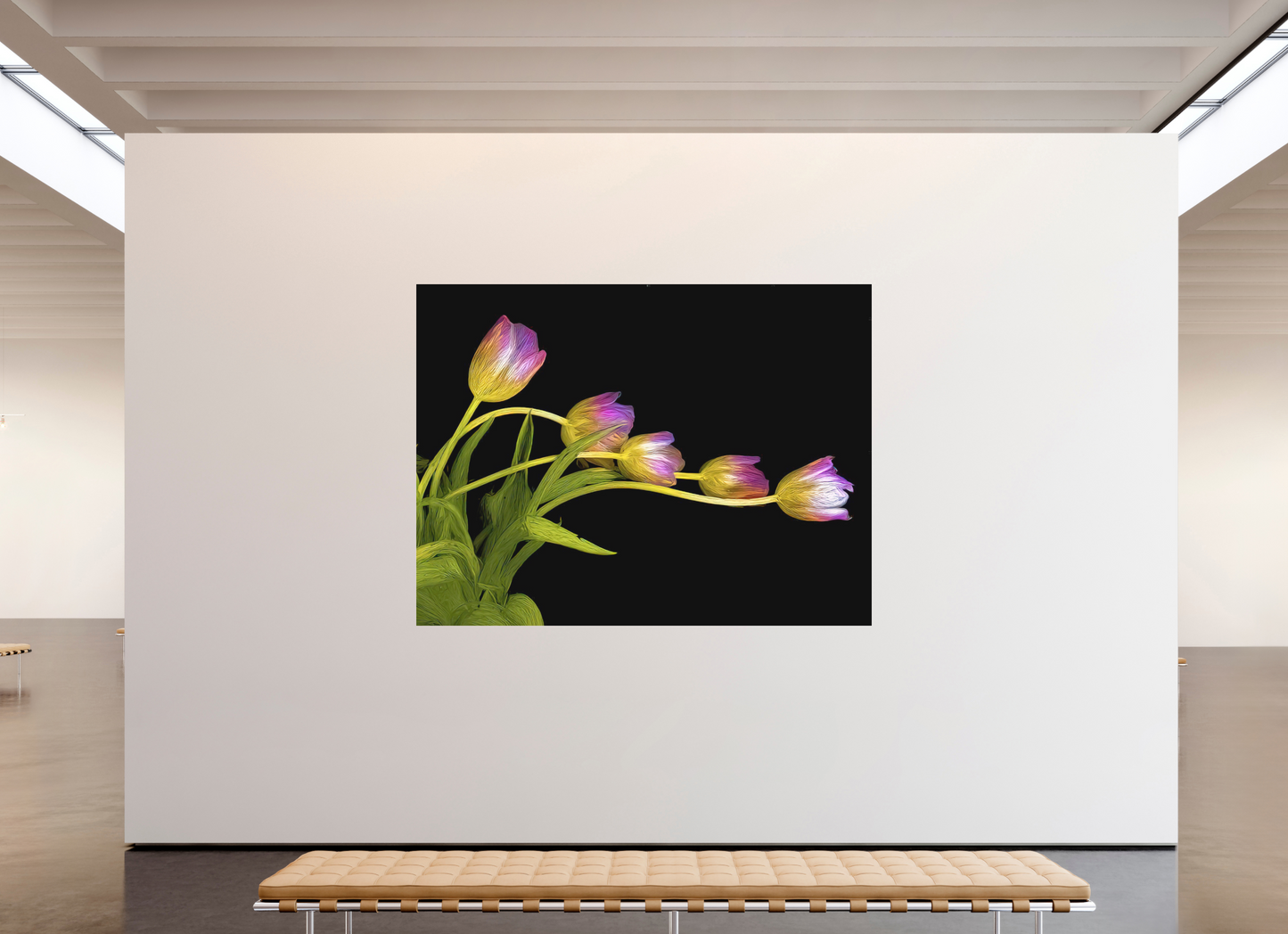Dancing Tulips