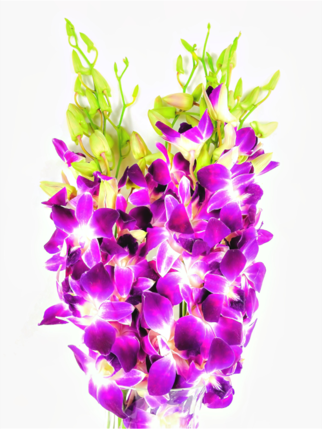 Panoramic Purple Bouquet