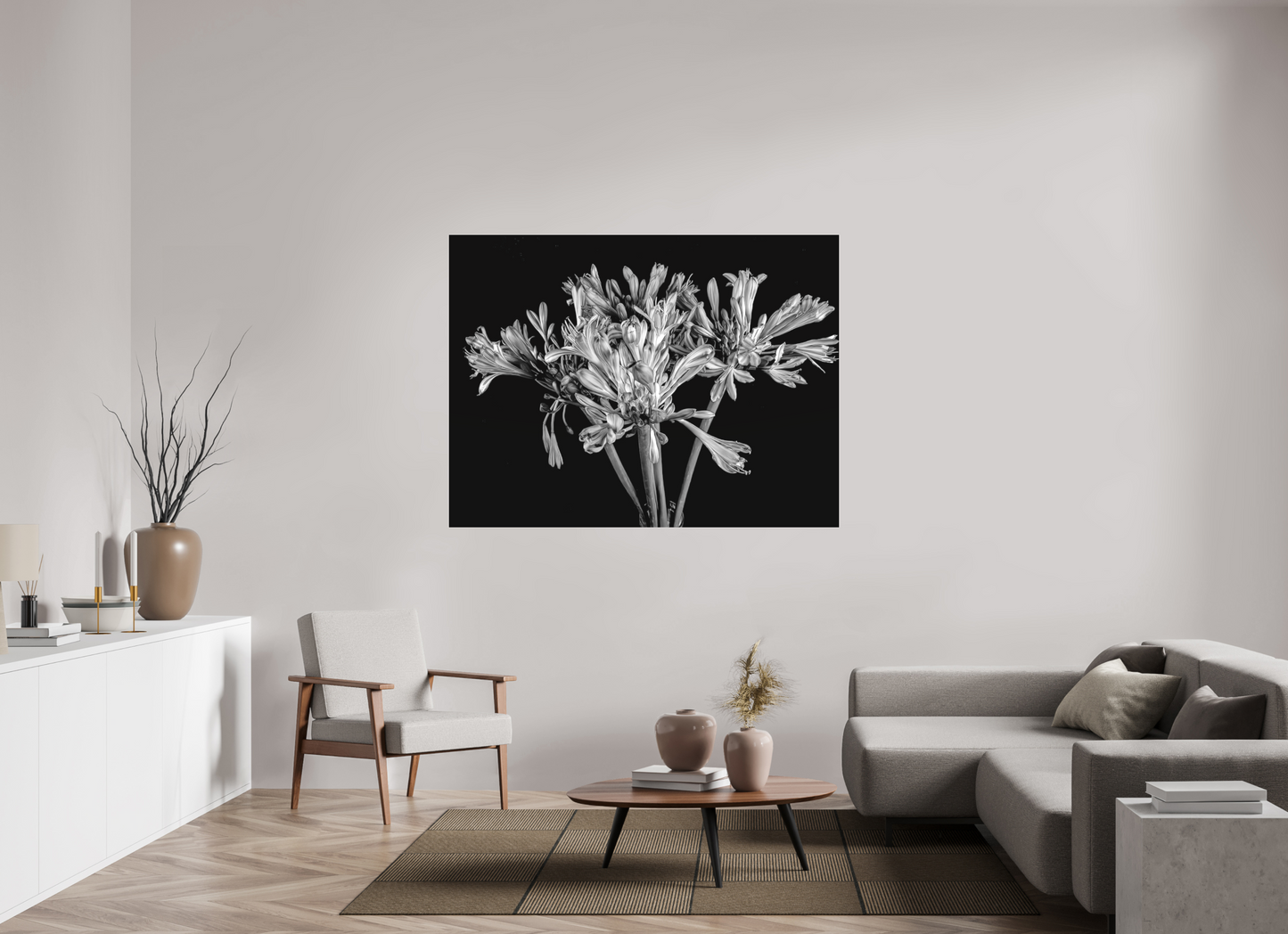 Agapanthus in Black and White
