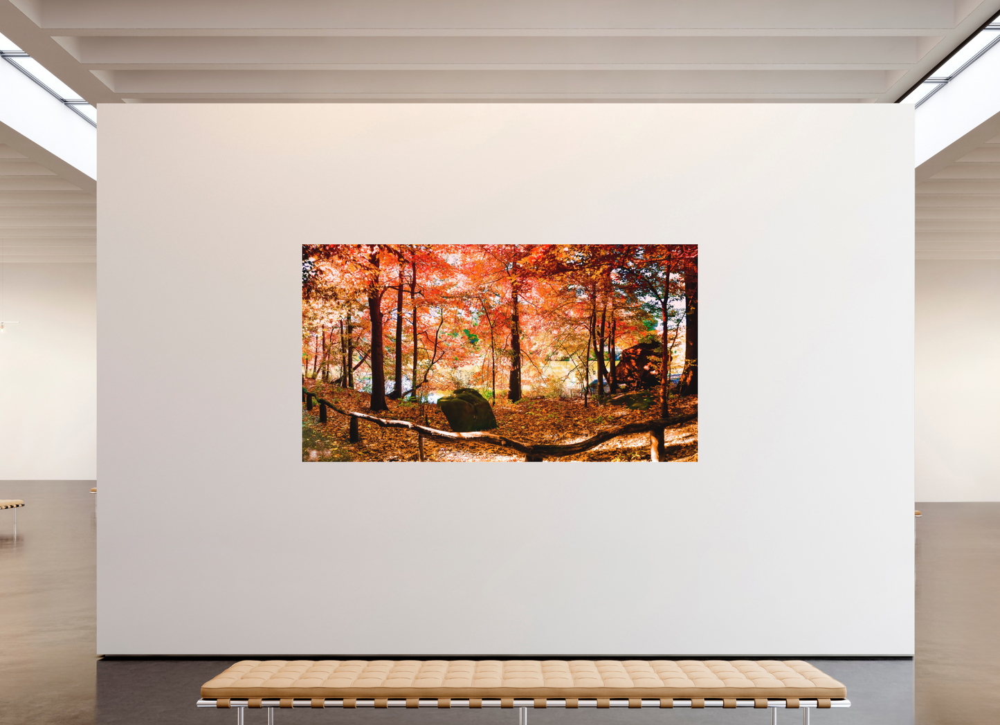 Panoramic Autumn Colors