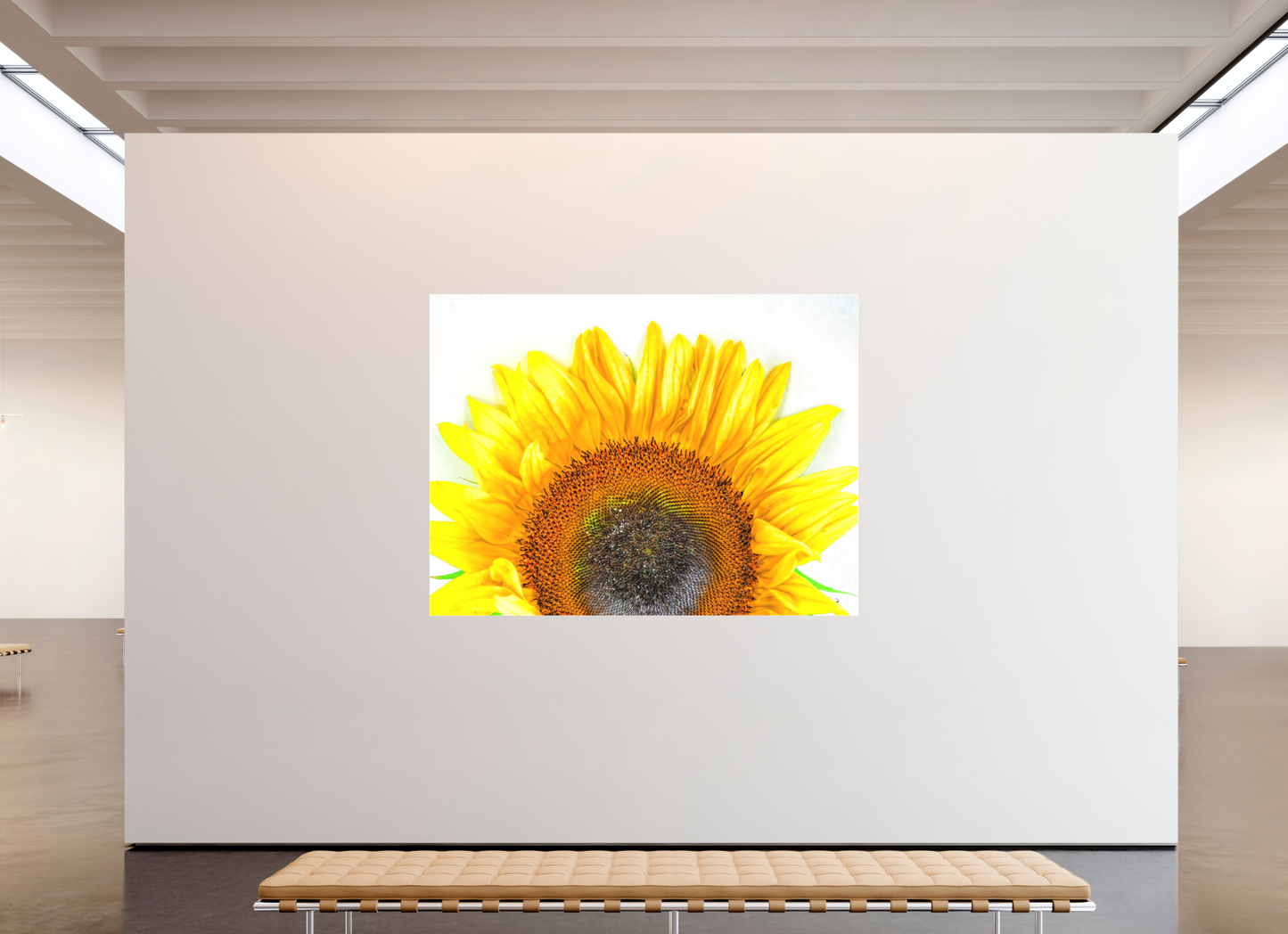 Be My Sunshine