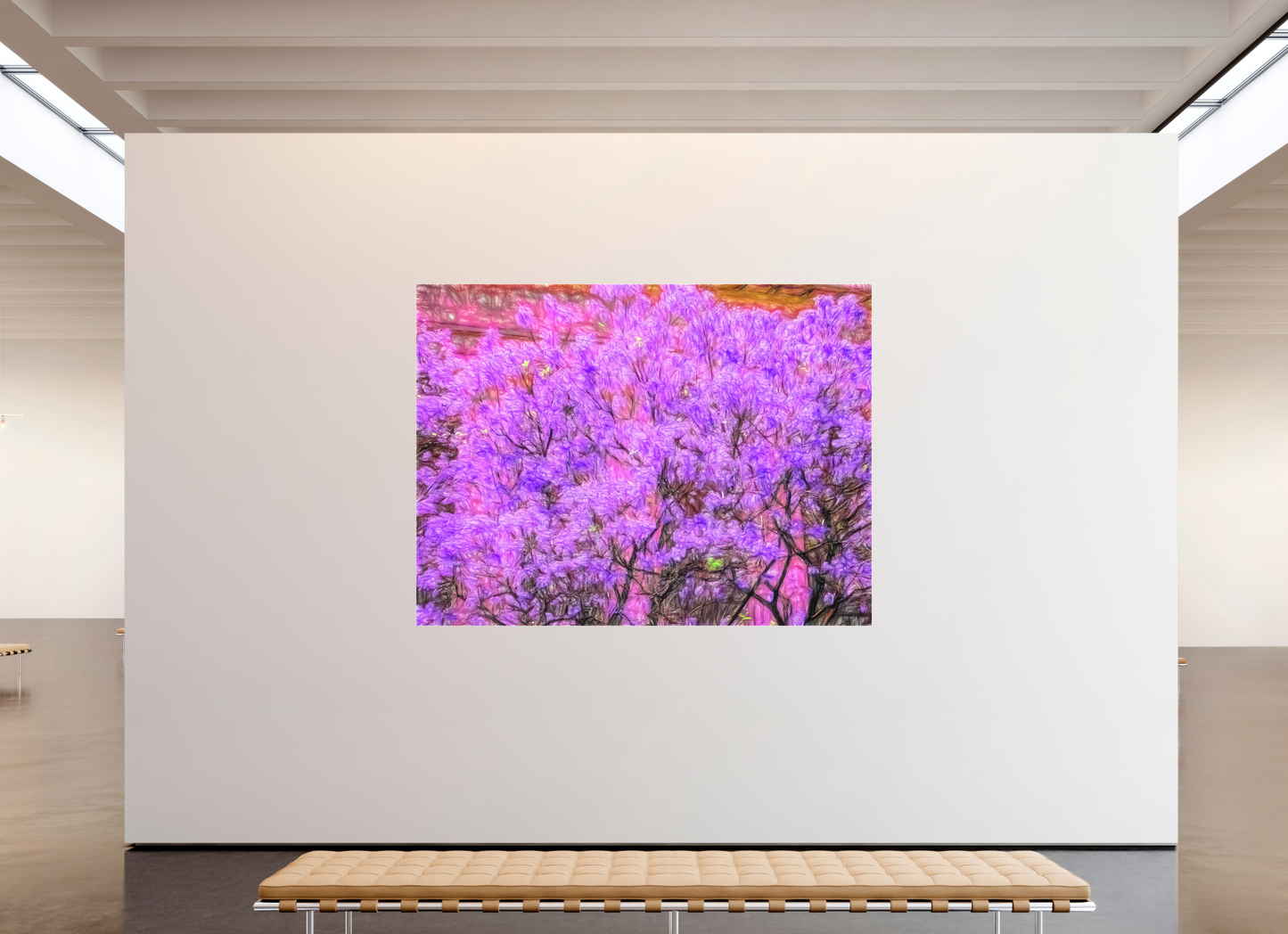 Panoramic Jacaranda Obsession