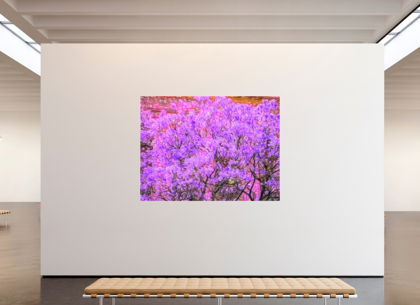 Panoramic Jacaranda Obsession