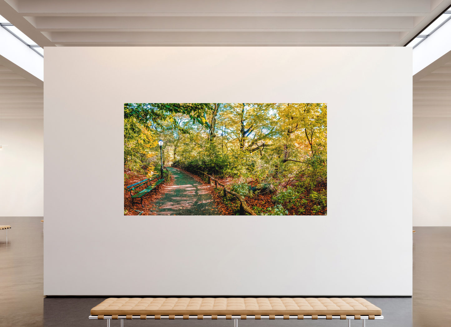 Panoramic Lover's Lane