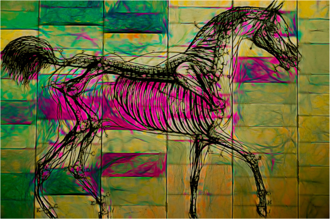 Poetry Horse