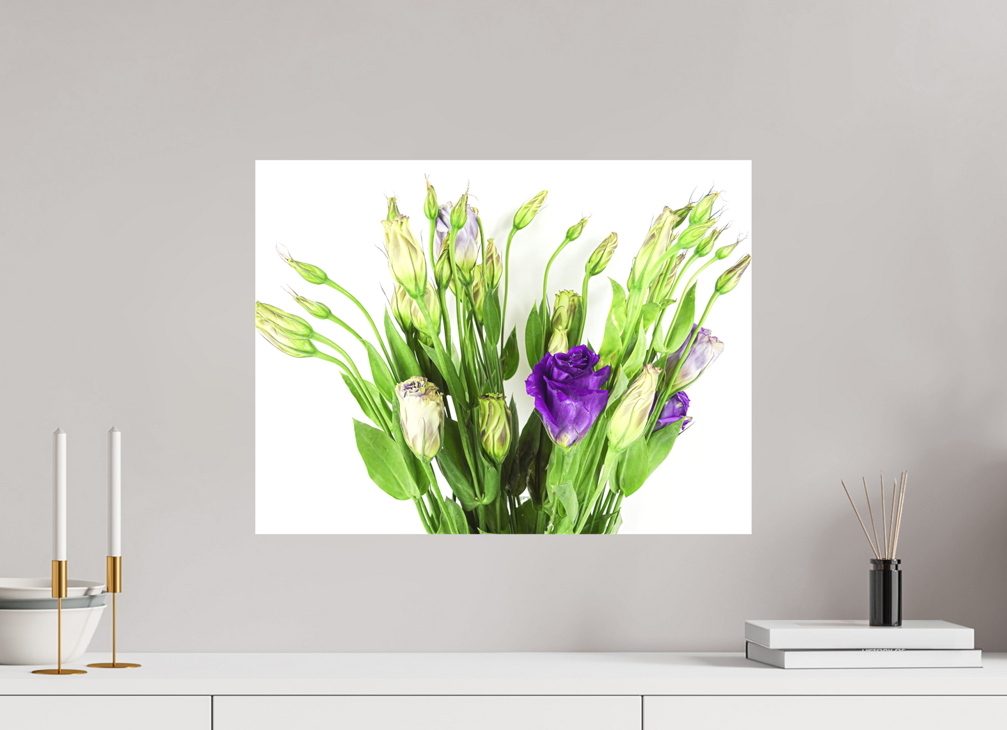Purple Beauties (White Background)