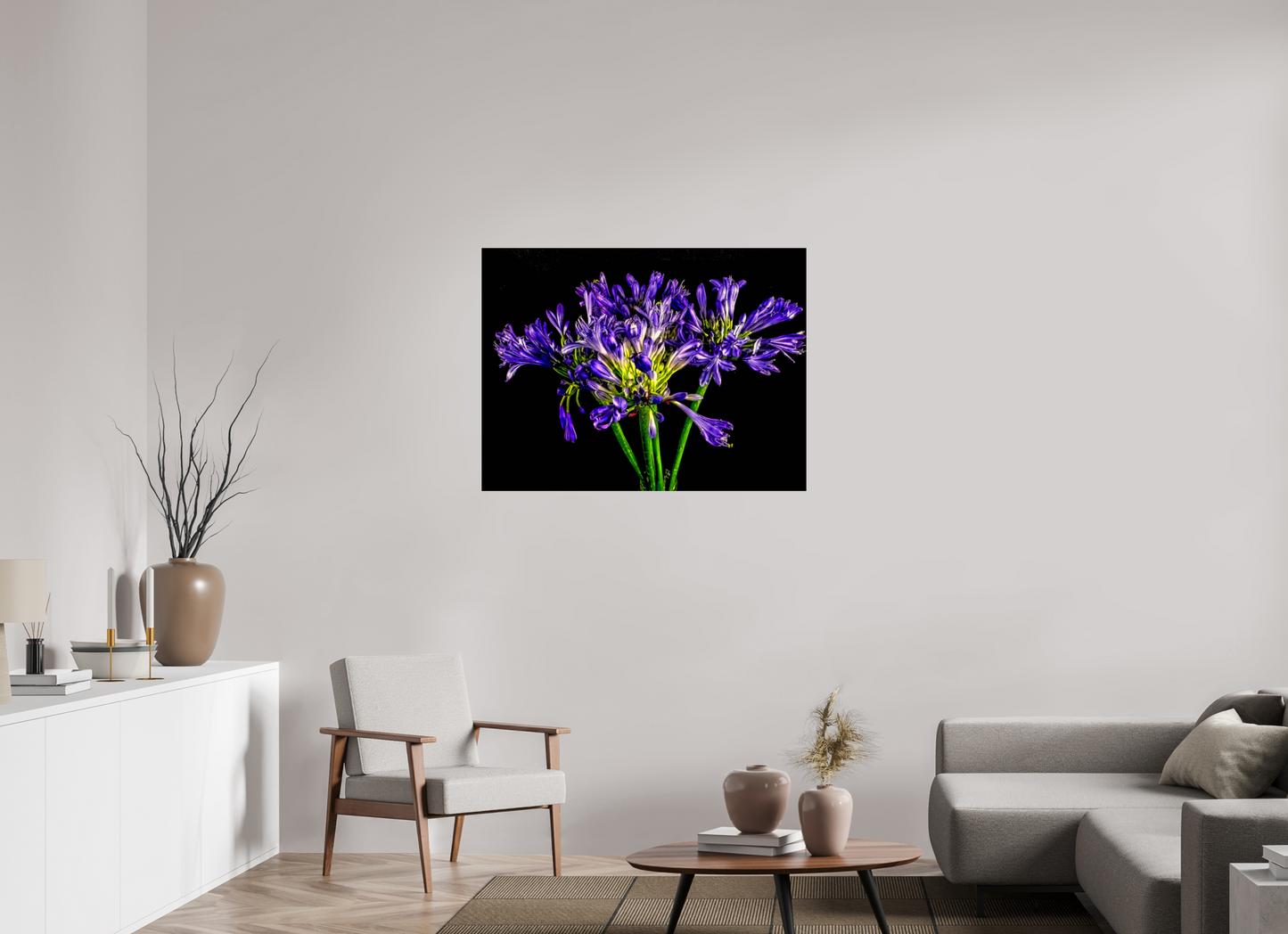 Agapanthus