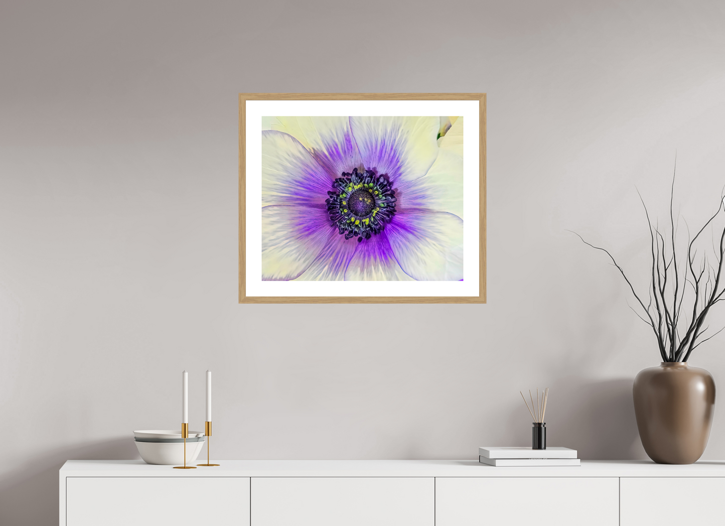 Anemone Splendor