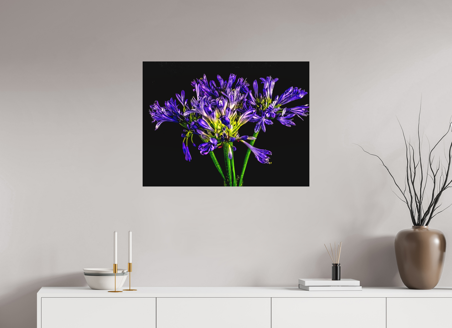 Agapanthus