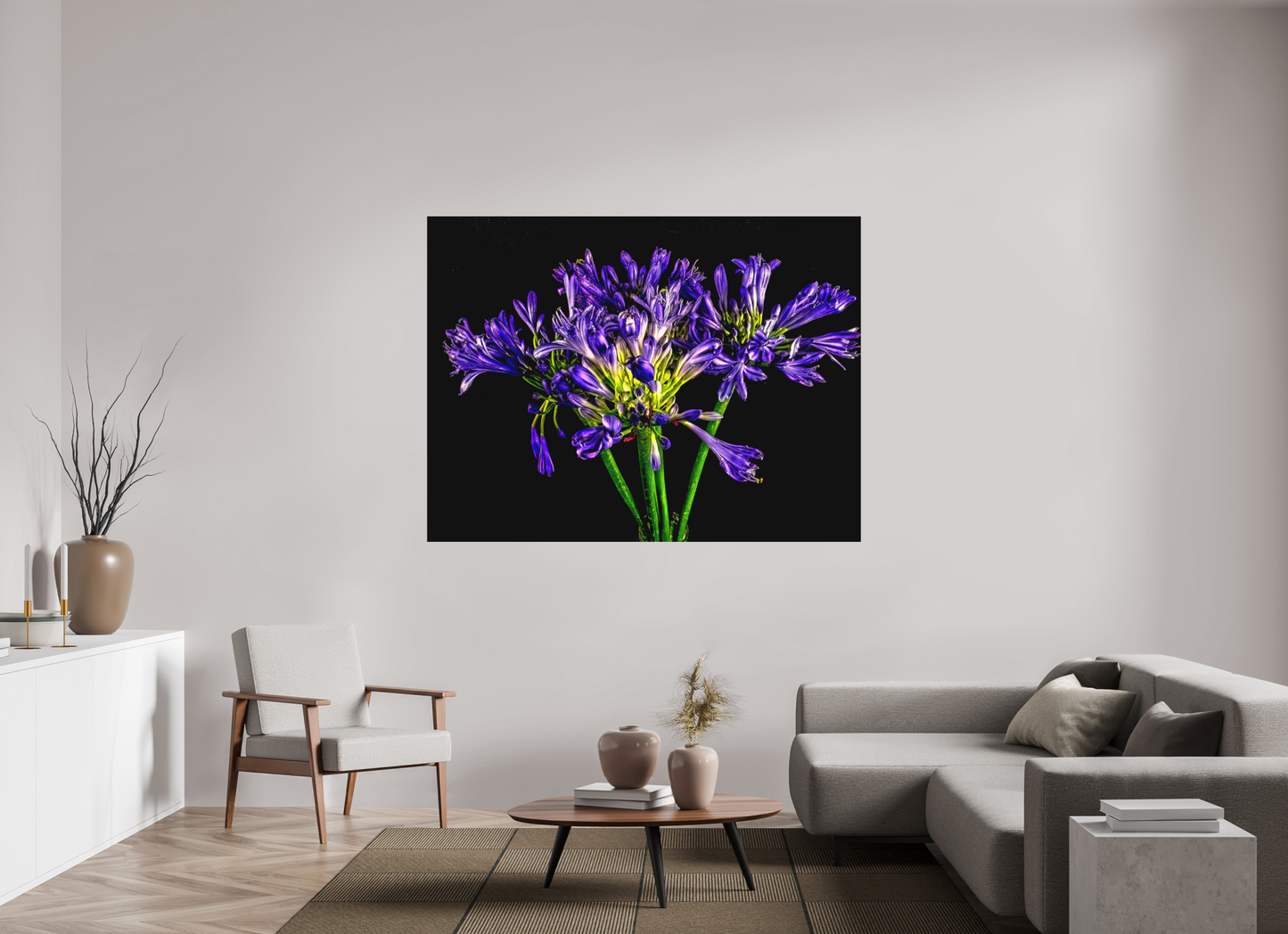 Agapanthus
