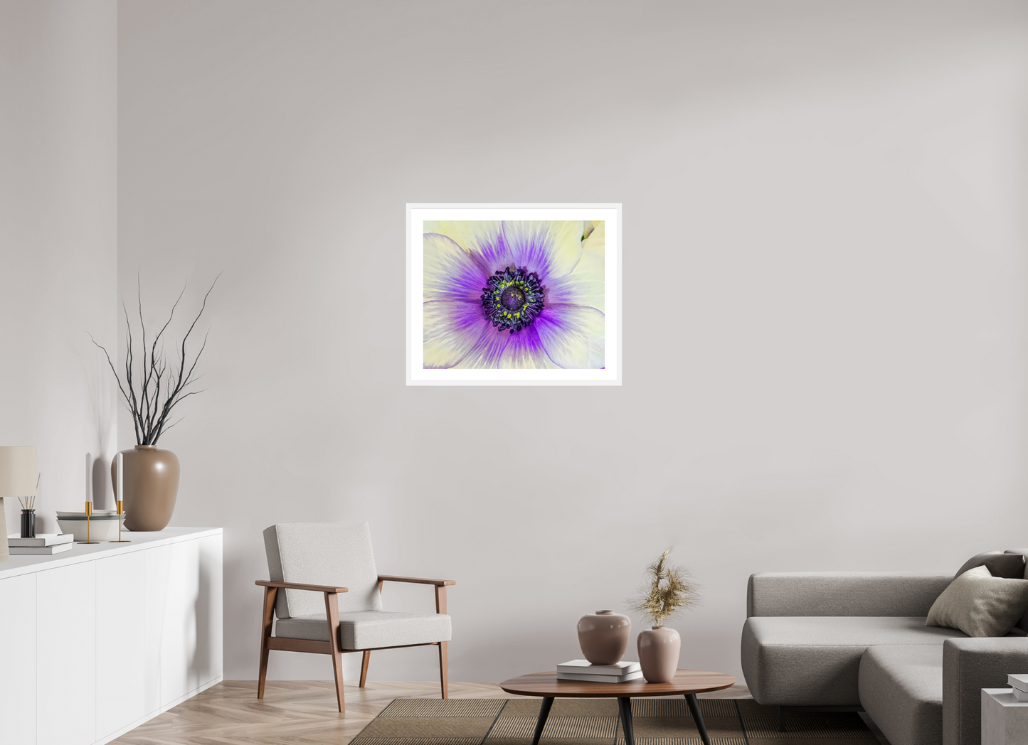Anemone Splendor