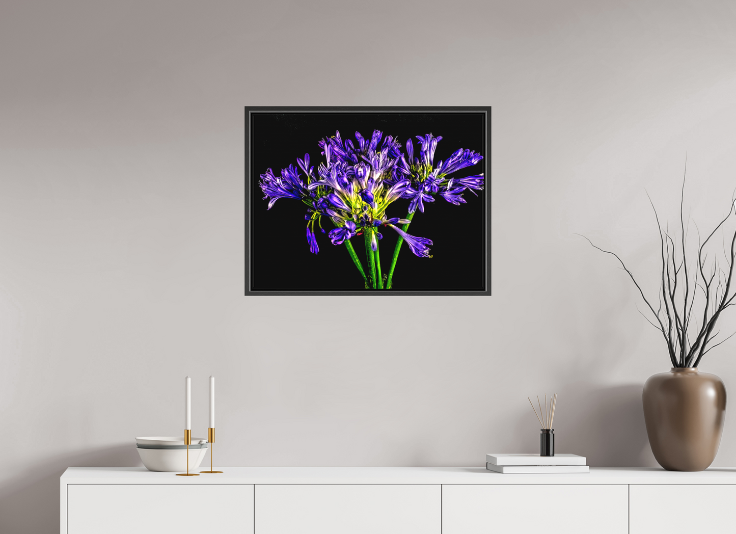 Agapanthus