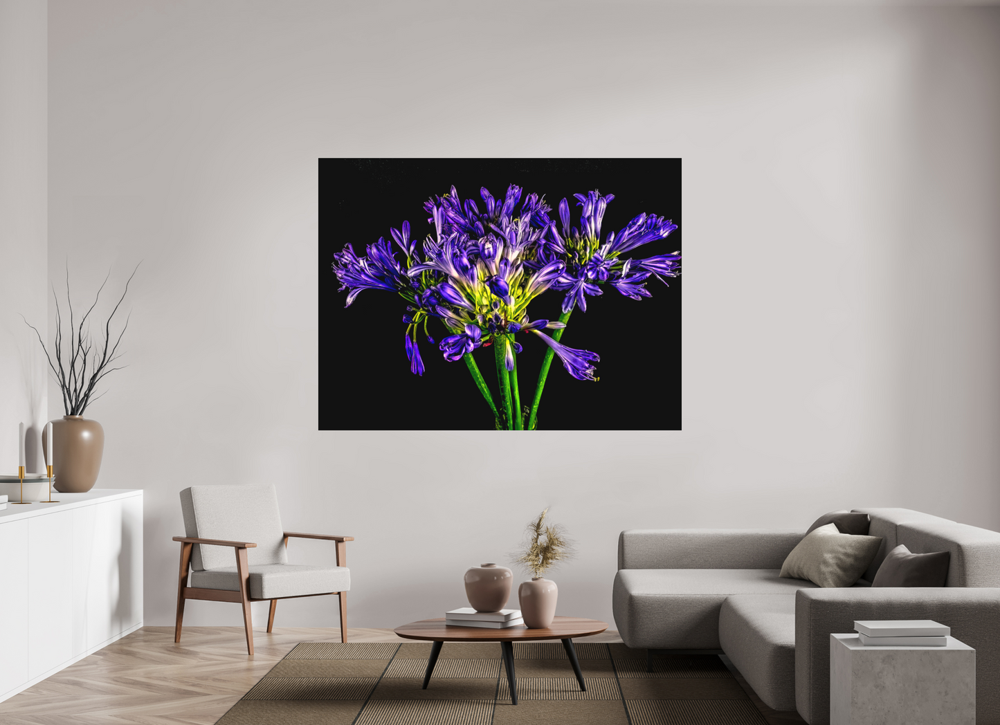 Agapanthus