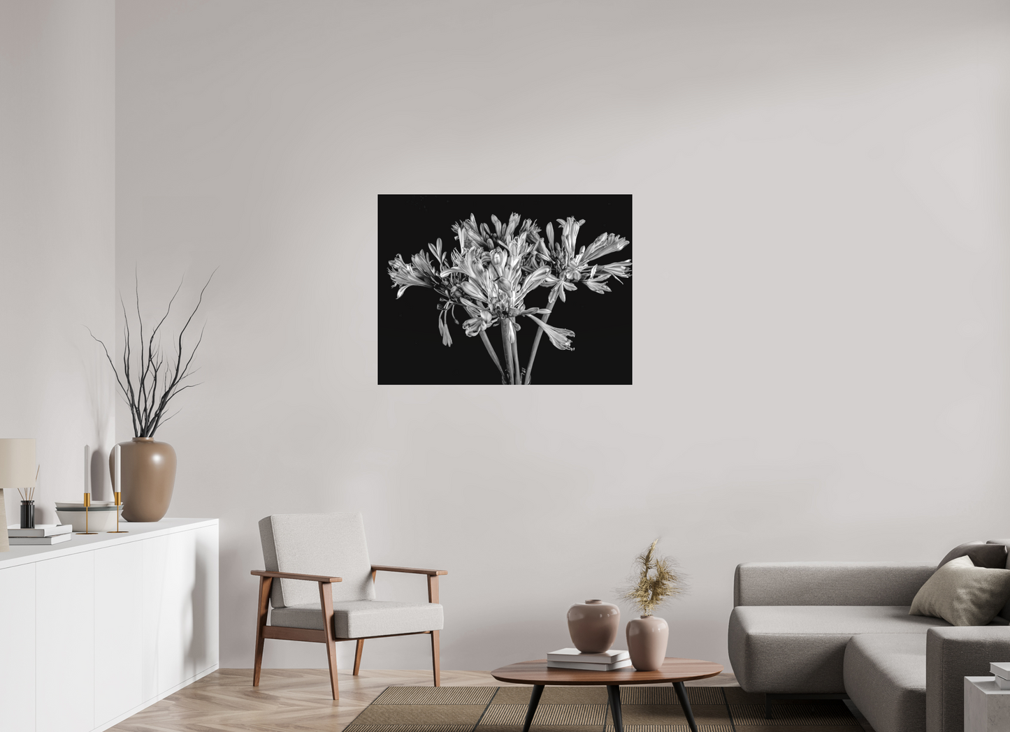 Agapanthus in Black and White