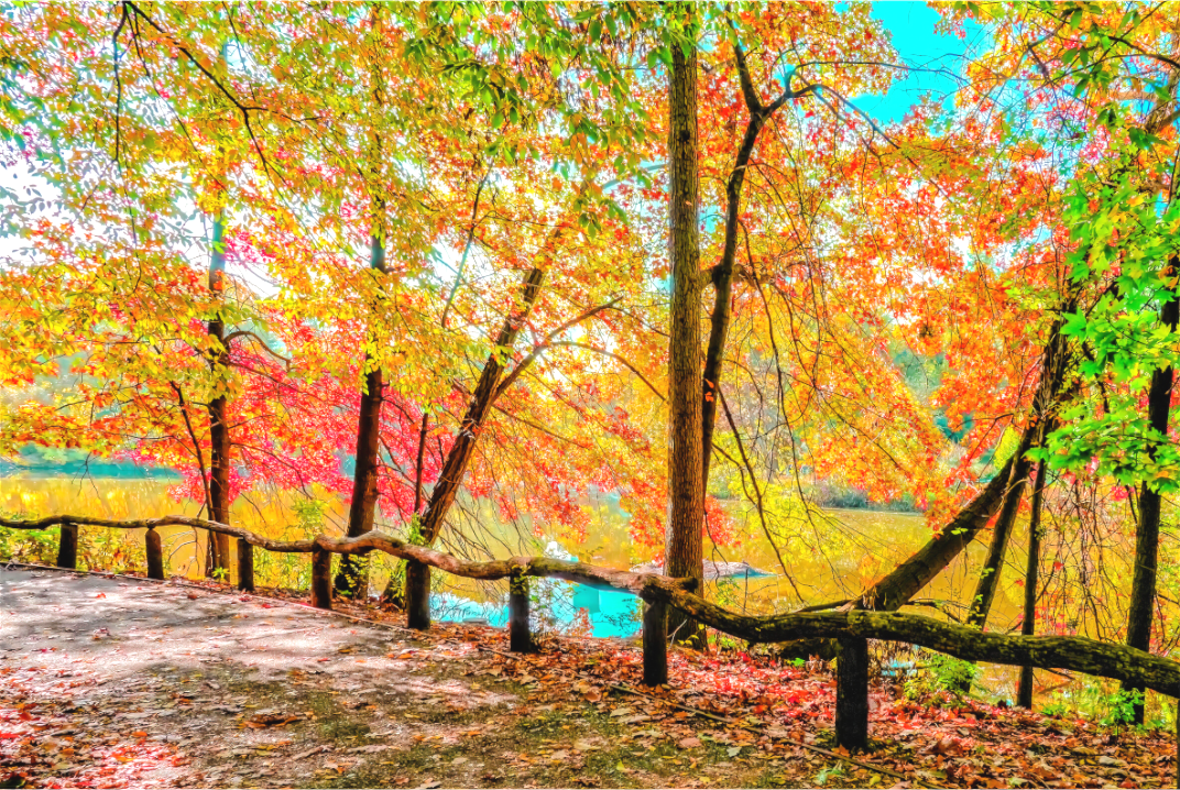 Welcoming Park