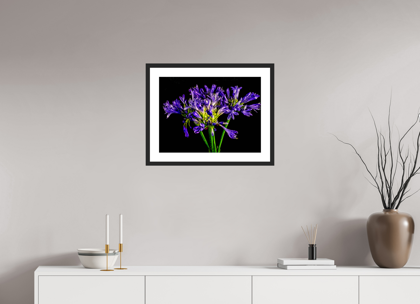 Agapanthus