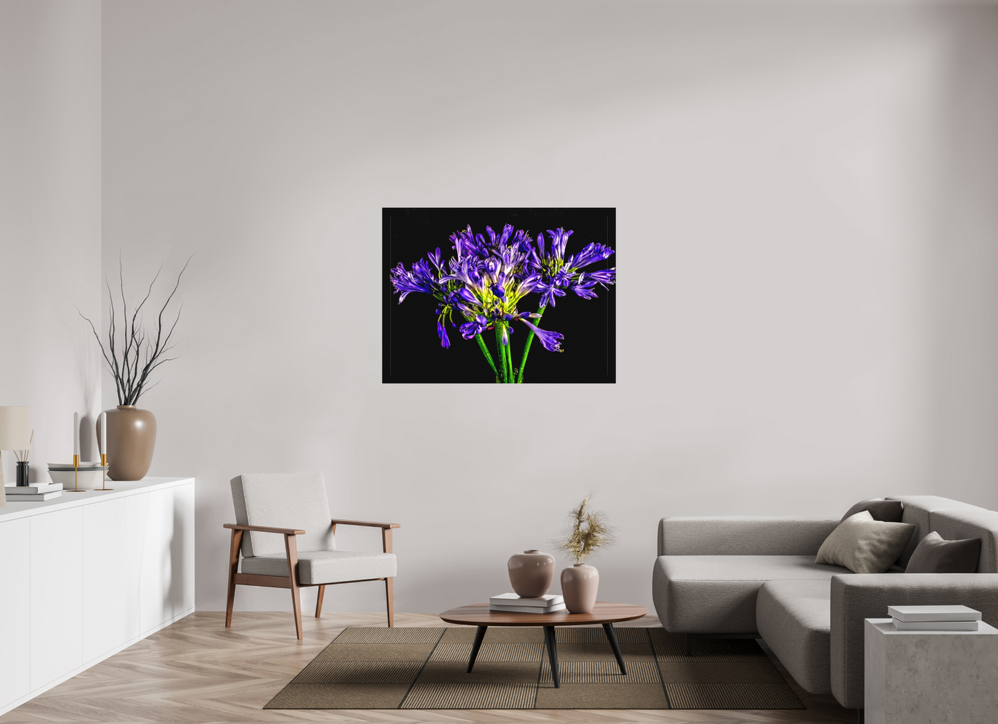 Agapanthus