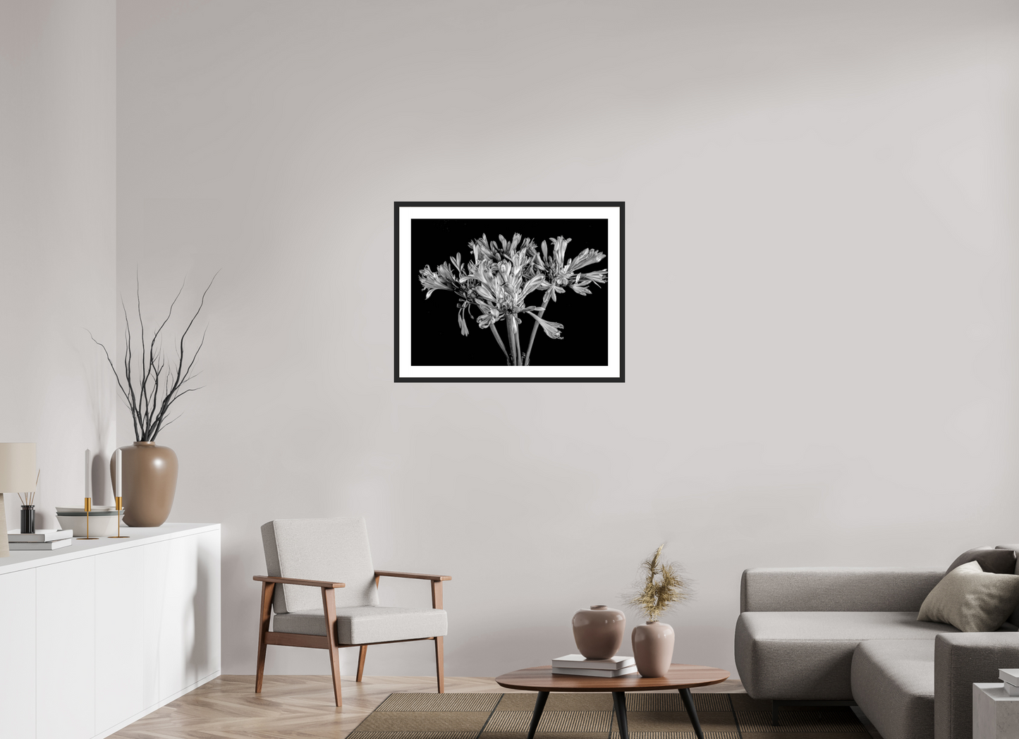 Agapanthus in Black and White