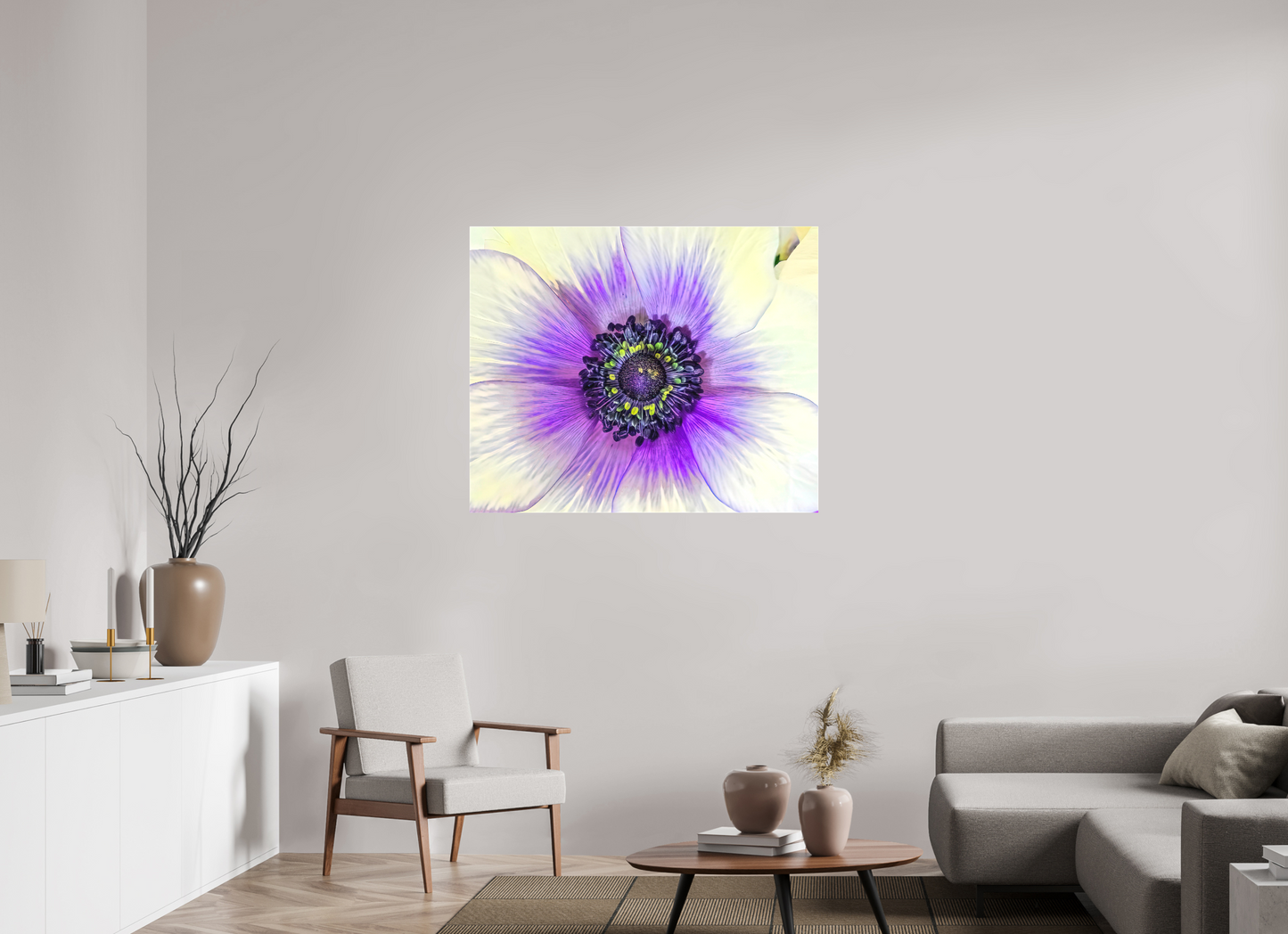 Anemone Splendor