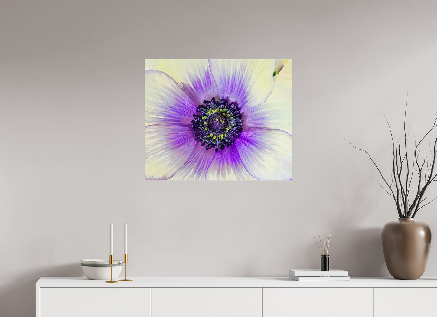 Anemone Splendor