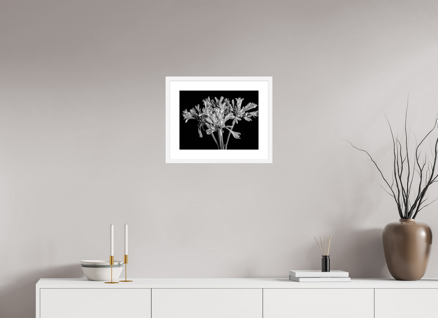 Agapanthus in Black and White