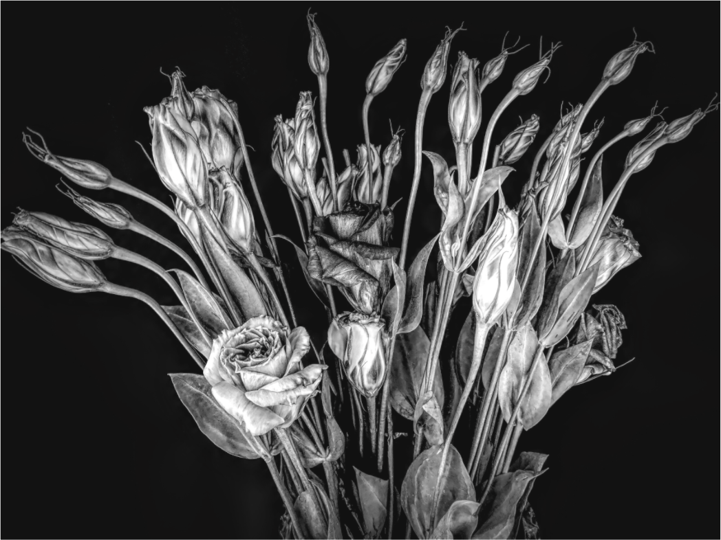 In Bloom