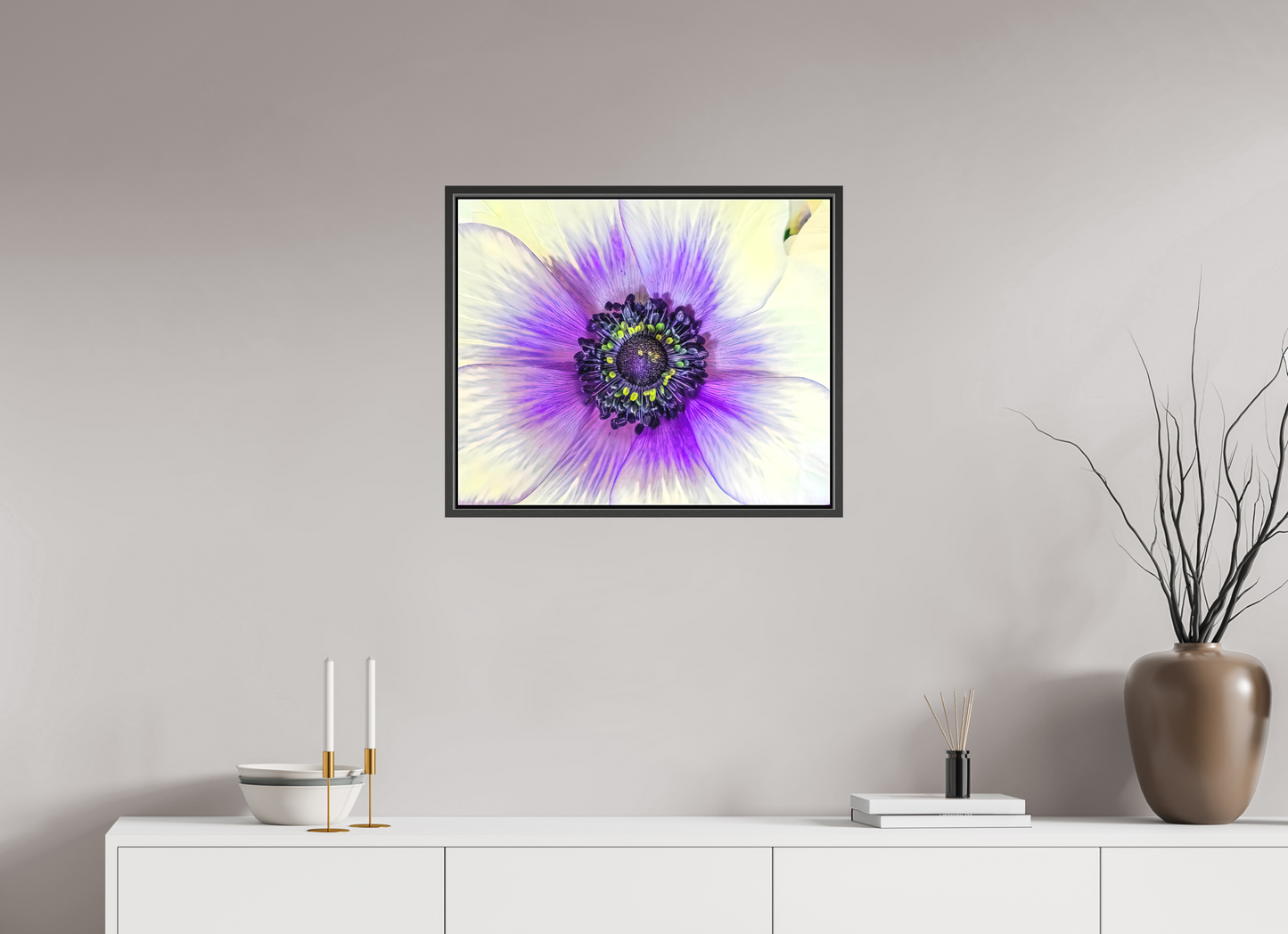 Anemone Splendor