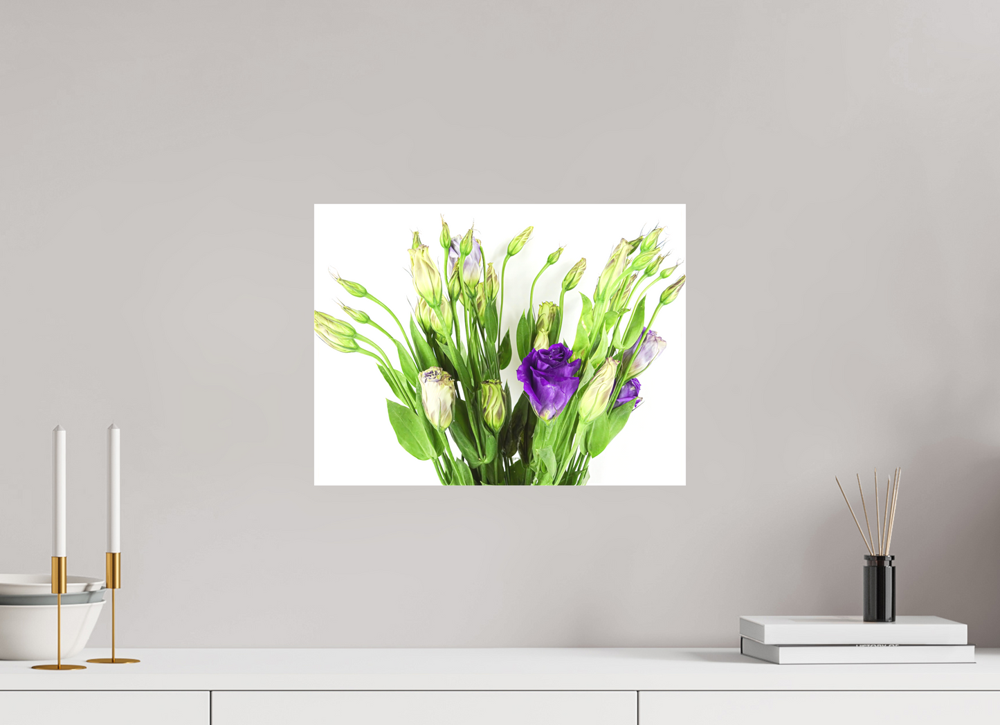 Purple Beauties (White Background)