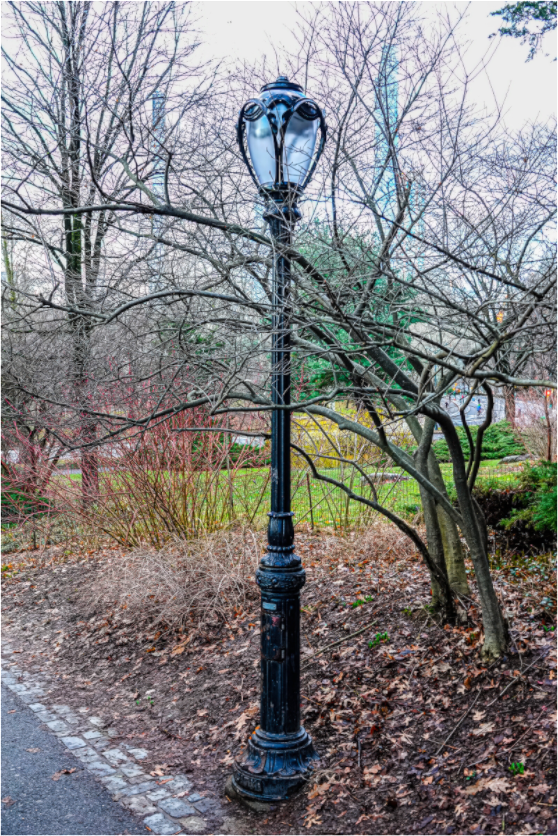 Lamplight