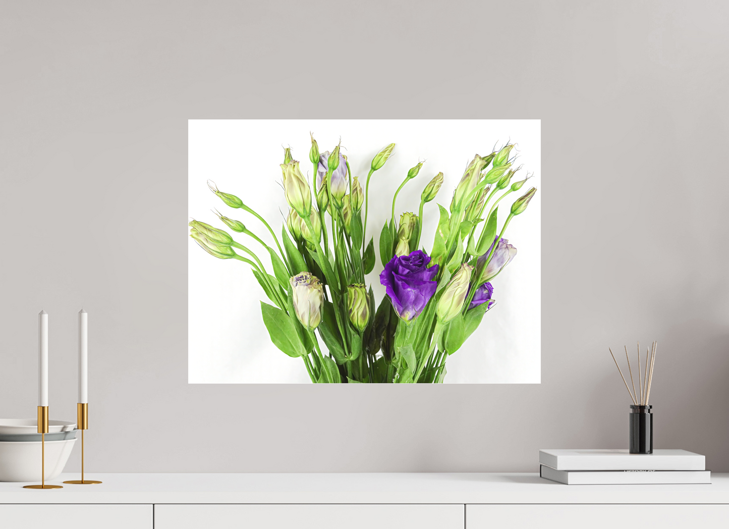 Purple Beauties (White Background)